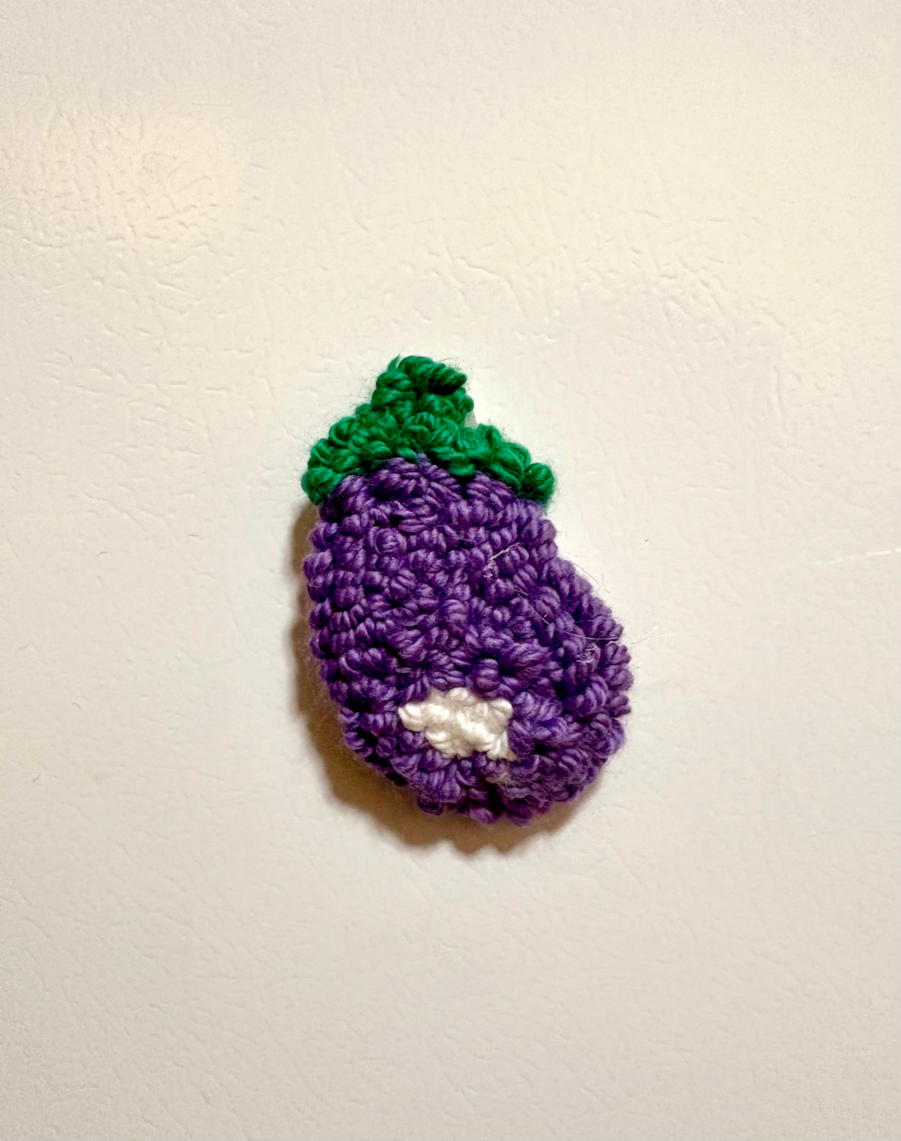 Vegetable Magnets