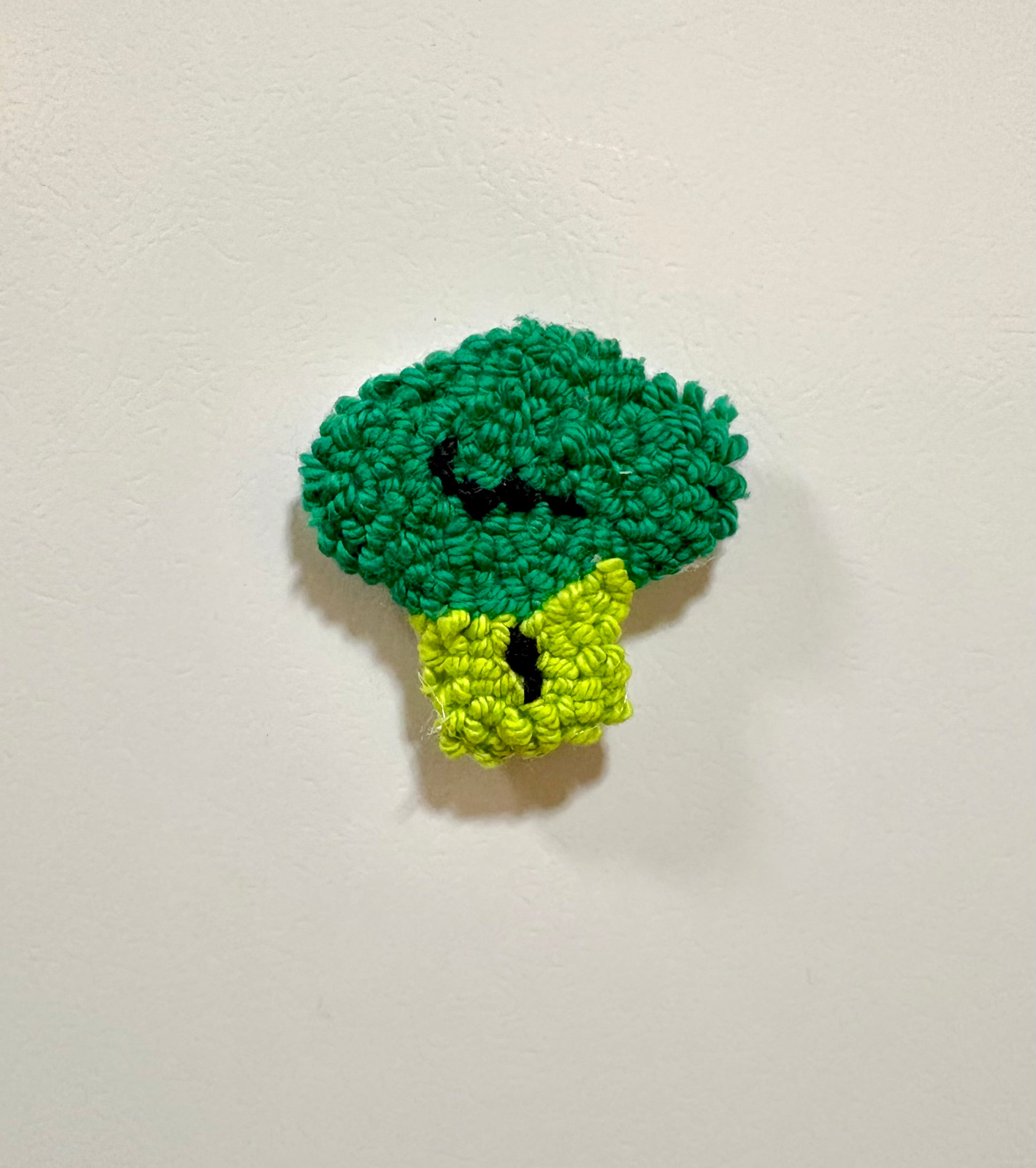 Vegetable Magnets