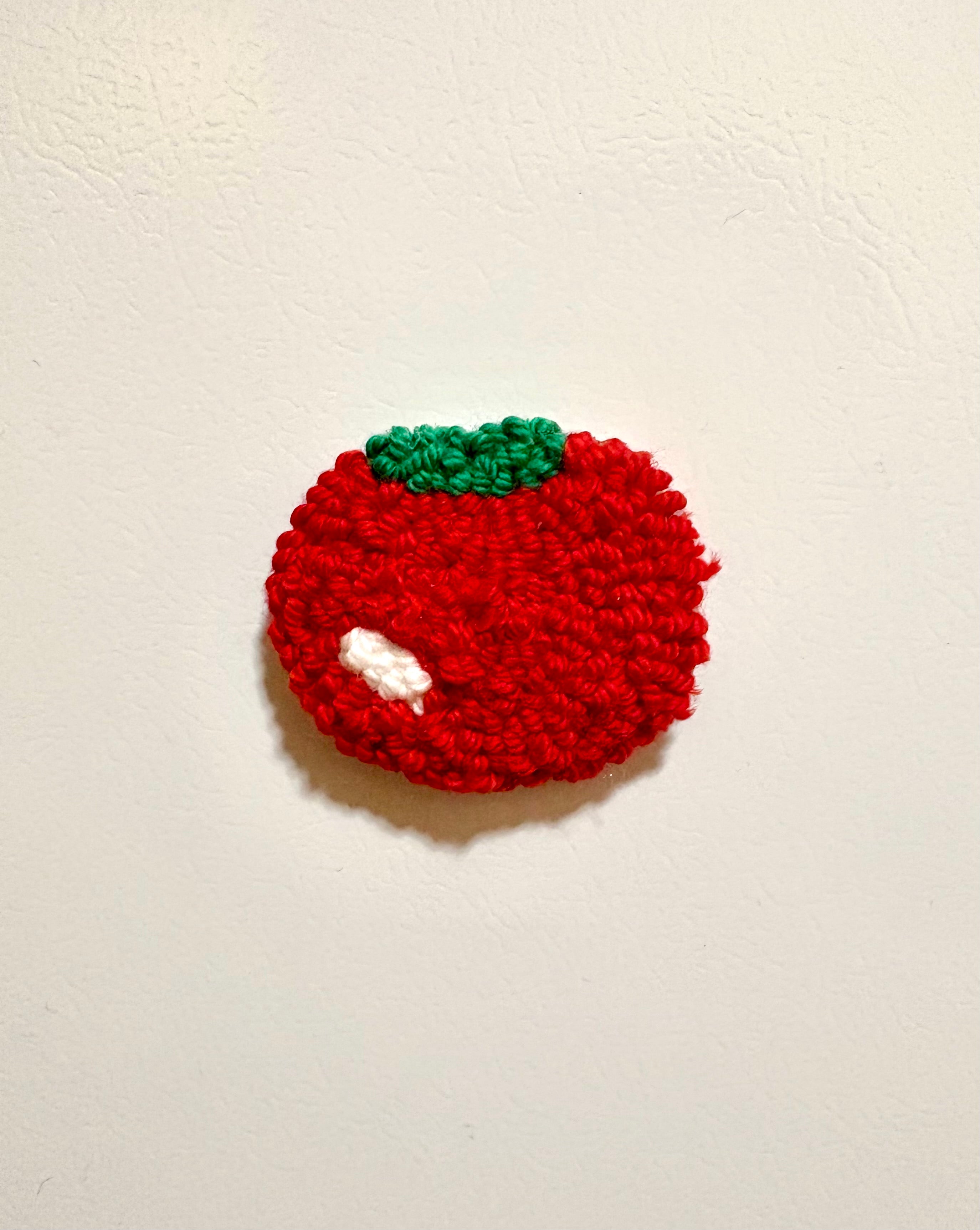 Vegetable Magnets